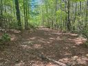 Lot 11 Pisgah Preserve Drive sold home in Nebo, SC