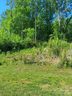 4032 Brandy Creek Court sold home in Clover, SC