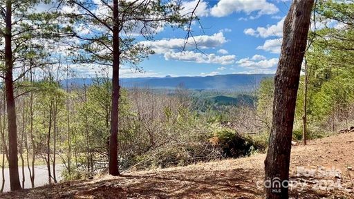 2 28 Acres Lot 162 Johns Ridge Parkway