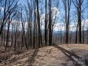 17 Twin Springs Court sold home in Fairview, SC