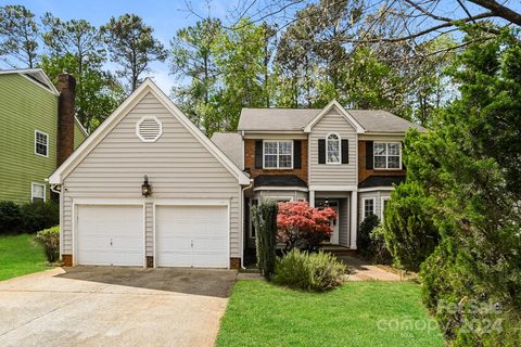 7025 Reedy Creek Road