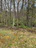 Tbd Linville River Drive 4 & 5 Phase ll sold home in Linville, SC