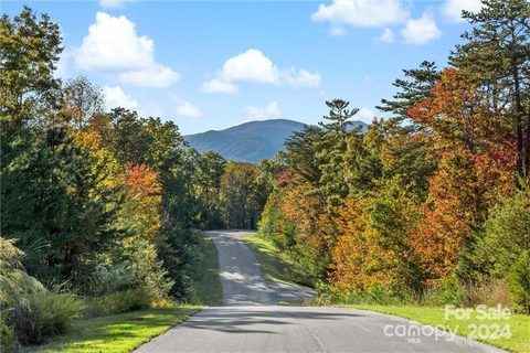 Lot 49 Bald Eagle Lane active home in Lakewood, Marion, NC