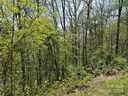 15 Waxwing Way sold home in Asheville, SC