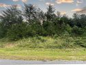 3358 Peninsula Pointe Drive 105 sold home in Valdese, SC