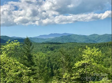392 River Ridge Road 14.06 Acres