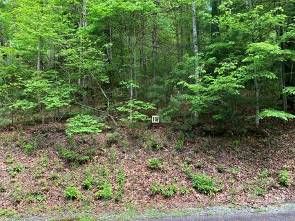 Lot 116 Green Hollow Lane