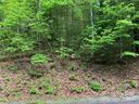 Lot 116 Green Hollow Lane sold home in Brevard, SC
