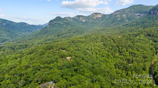 Lot 14 Mintwood Court sold home in The Camp at Lake Lure, Lake Lure, NC
