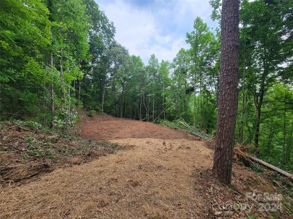 200 Derby Lane 34 sold lot in Maple Springs, Waynesville, NC