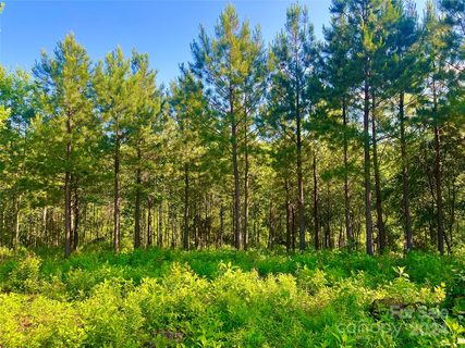 151 Lot Ryleigh Dan Place sold home in Davidson Pond, Mooresville, NC