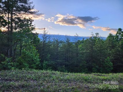 87 Mountain Lookout Drive