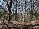 0 Ida Street sold home in Gastonia, SC