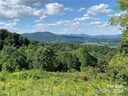 25 Farm Cove Lane sold home in Leicester, SC