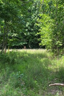 199 Cherry Hill None active home in Brights Creek, Mill Spring, NC