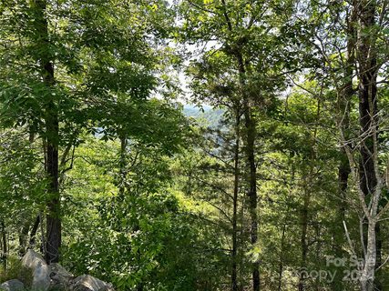 387 Wild River Run active lot in French Broad Crossing, Marshall, NC