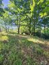 190 Stonefly Drive 157 sold home in Horse Shoe, SC