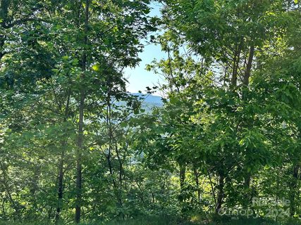 385 Wild River Run active lot in French Broad Crossing, Marshall, NC