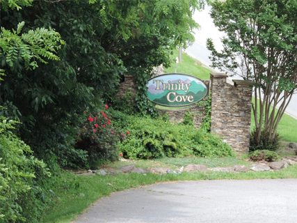 Lot 14 Constitution Avenue #14 sold lot in Trinity Cove, Waynesville, NC