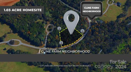 Lot 9 Cline Farm Road sold lot in Cline Farm, Lincolnton, NC