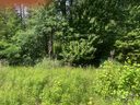 1420 Sherwood Road sold home in Clover, SC