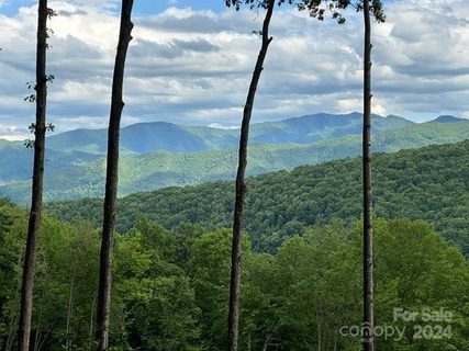 Lot 284 Running Deer Trail active home in Villages Of Plott Creek, Waynesville, NC