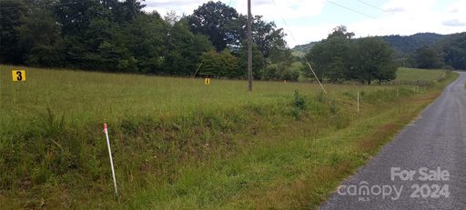 410 Plemmons Place sold lot in Old Plemmons Estates, Marion, NC