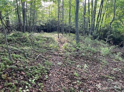 000 Old Chestnut Mountain Road sold home in Laurel Highlands, Green Mountain, NC