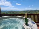 295 Vista Drive 402 sold home in Mars Hill, SC