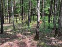 000 Mcdaniel Court 23 sold home in Lake Lure, SC