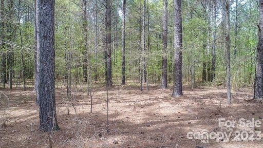 5502 Army Road 19