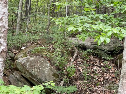 0000 Lytle Cove Road sold home in Alpine Mountain, Swannanoa, NC