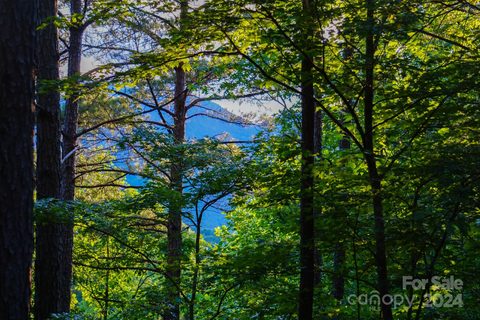 000 River Park Lane 20 sold lot in River Park at Lake Adger, Mill Spring, NC