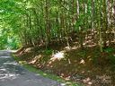 000 Lake Park Drive sold home in Burnsville, SC
