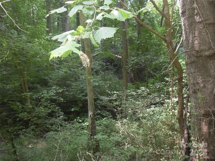 11931 Riverhaven Drive sold lot in Riverhaven, Charlotte, NC