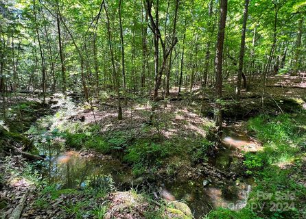 Lot 7b Three Lakes Trail sold land listing in Three Lakes Preserve, Waxhaw, NC