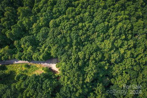 240 Smokemont Drive active land listing in Avery Park, Arden, NC