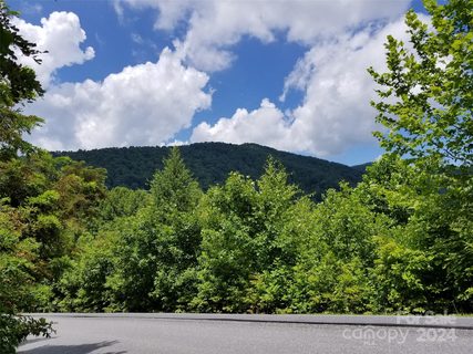 567 Blue Mist Way active lot in Avery Park, Arden, NC