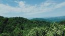 362 Glen Valley Drive 199 sold home in Weaverville, SC