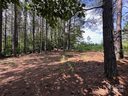 106 Table Rock Trace 158 sold home in Valdese, SC