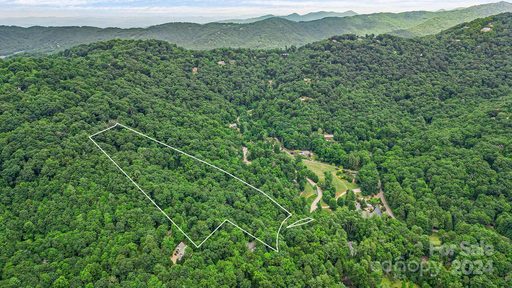 Homes in Chunns Cove, Asheville