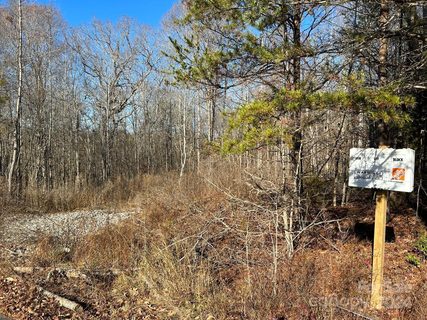 0 Great Dane Avenue pending lot in Plank Estates, Iron Station, NC
