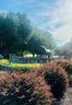 000 Black Horse Run Road 11 sold home in Indian Land, SC