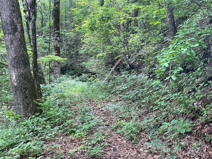 00 Eastatoe Gap Road sold lot in Eastatoe Gap, Rosman, NC