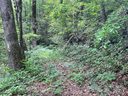 00 Eastatoe Gap Road sold home in Rosman, SC