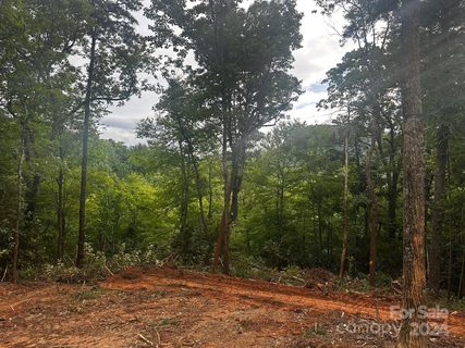 0000 Silverstone Drive 6 & 7 sold home in Silverstone, Hendersonville, NC