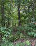 Tbd Mountain Lookout Drive 78 sold home in Bostic, SC