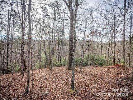 163 Pheasant Street active home in Riverbend At Lake Lure, Lake Lure, NC