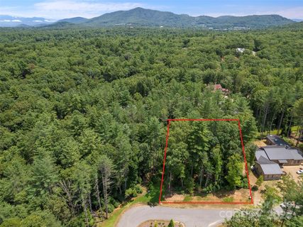 323 Flowering Vine Court active lot in Ramble Biltmore Forest, Asheville, NC