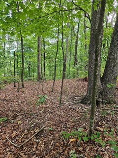 0 Deer Jump Trail